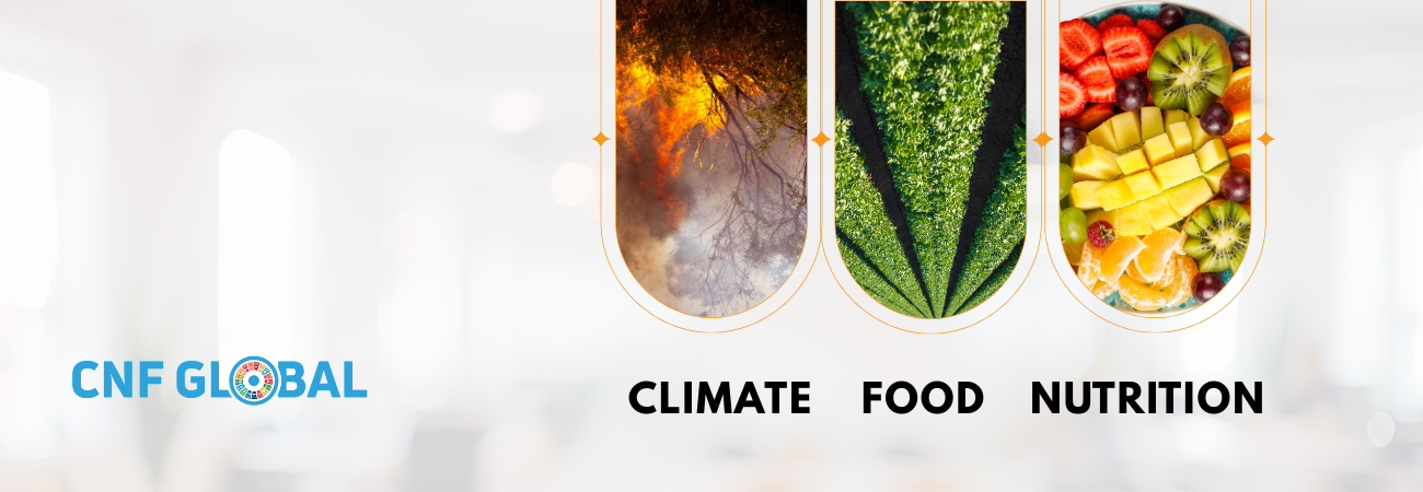 CNF Global NGO 